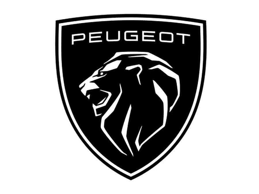 Assistência Técnica  Peugeot em Roseira / SP